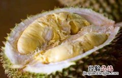 榴莲壳怎么吃最好 榴莲壳怎么吃有啥好处
