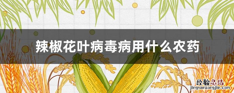 辣椒花叶病毒病用什么农药 辣椒花叶病毒病用啥药