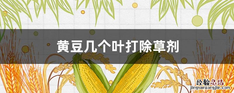 黄豆几个叶打除草剂 黄豆几个叶打除草剂最好