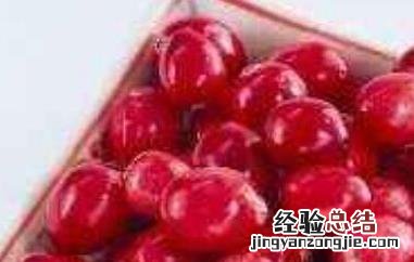 蔓越莓的功效与作用及禁忌症 新闻 蔓越莓的功效与作用及禁忌