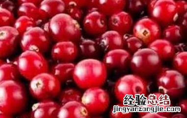蔓越莓的功效与作用及禁忌症 新闻 蔓越莓的功效与作用及禁忌