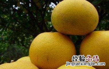 胡柚与橙子的区别 胡柚与橙子的区别是什么