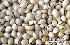 白果祛痘的食用方法和用量 白果祛痘的食用方法