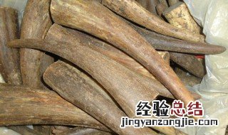 翔羊角怎么煮水 翔羊角怎么煮