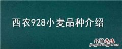 西农928小麦品种介绍 西农9718小麦品种简介
