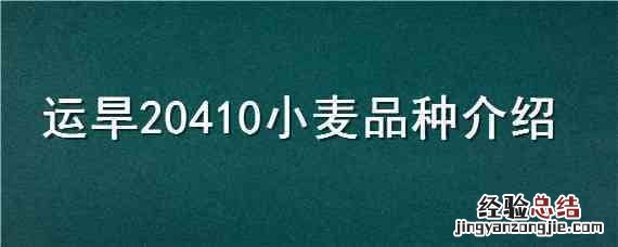 运旱20410小麦品种介绍 运旱115小麦品种特性