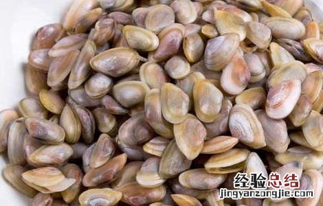 海瓜子的常见做法 海瓜子的做法家常做法