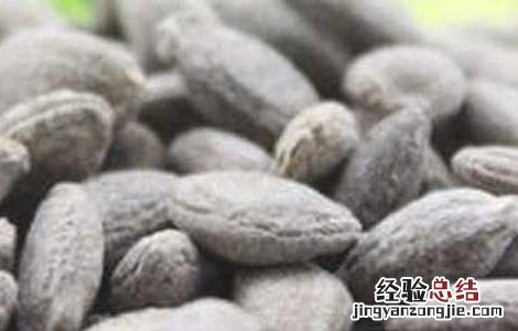 吊瓜子怎么吃 吊瓜子怎么吃好吃