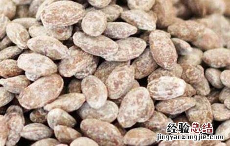 吊瓜子怎么吃 吊瓜子怎么吃好吃