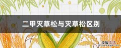 2甲灭草松和灭草松有哪个好 二甲灭草松与灭草松区别