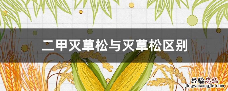 2甲灭草松和灭草松有哪个好 二甲灭草松与灭草松区别