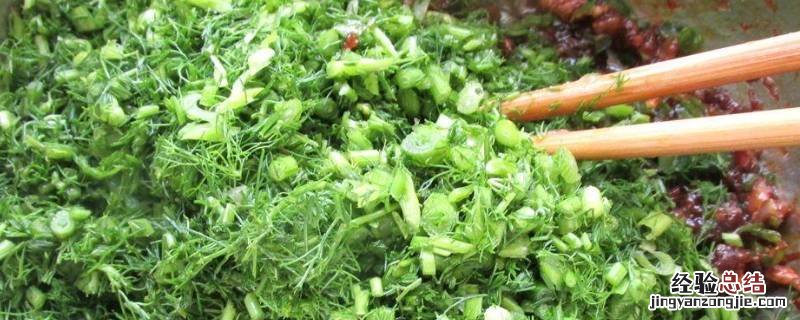 小茴香苗包饺子馅怎么调 茴香苗饺子馅怎么调好吃