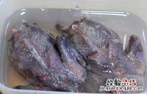 常见斑鸠的做法有哪些