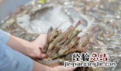 梦见自己用手抓到活虾 梦见捞虾是什么意思