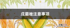 戊菌唑的作用和用途 戊菌唑注意事项