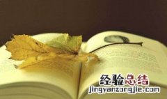 格列佛游记作者和霉霉的关系 格列佛游记作者