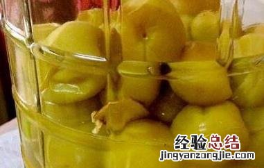 怎么用糖腌青梅 怎么用糖腌青梅子