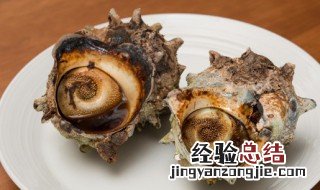 大海螺怎么做好吃 大海螺怎么做好吃?