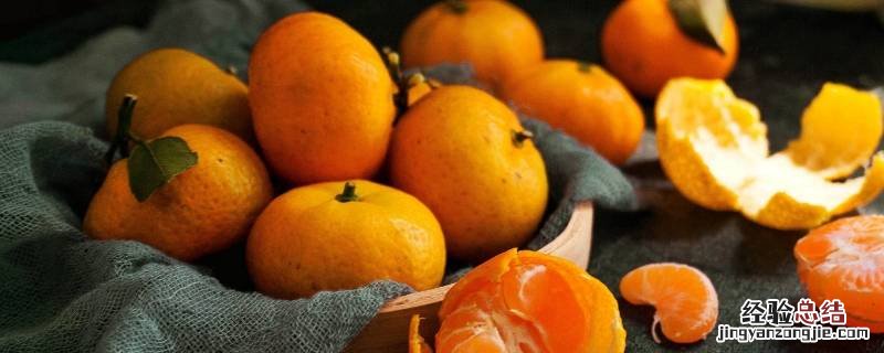橘子可以做成什么 橘子可以做成什么小动物