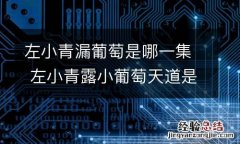 左小青漏葡萄是哪一集 左小青露小葡萄天道是那一集