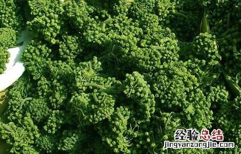 三七花的吃法有哪些 三七花的食用