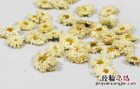 黄芪枸杞菊花茶的做法 黄芪枸杞菊花泡茶
