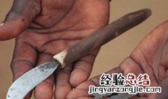 割礼什么意思 什么是割礼