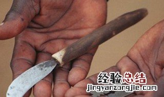 割礼什么意思 什么是割礼