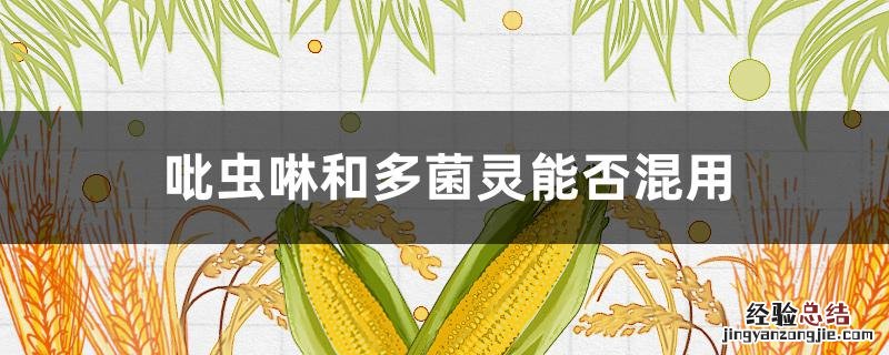 吡虫啉和多菌灵能否混用 吡虫啉和多菌灵怎么混合使用