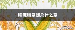 嘧啶肟草醚杀什么草 嘧啶肟草醚除草范围