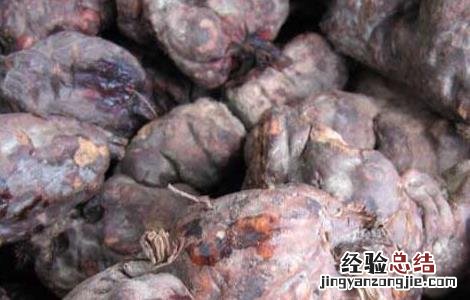 何首乌怎么吃补肾最好 何首乌怎么吃?