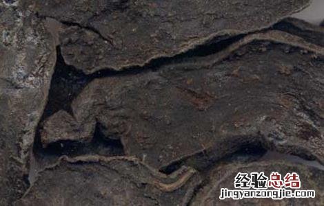 何首乌怎么吃补肾最好 何首乌怎么吃?
