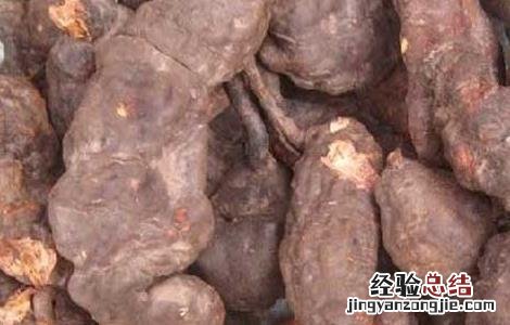 何首乌怎么吃补肾最好 何首乌怎么吃?