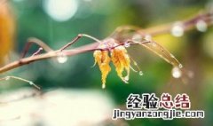有哪些击中你内心阴暗处的句子 击中你内心阴暗处的句子有什么