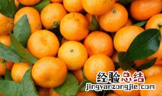 砂糖橘子是热性还是凉性 砂糖橘子属于凉性还是热性
