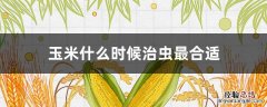 玉米什么时间治虫好 玉米什么时候治虫最合适