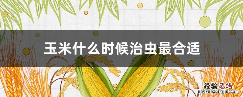 玉米什么时间治虫好 玉米什么时候治虫最合适
