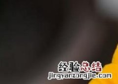 旱金莲图片 旱金莲图片大全大图
