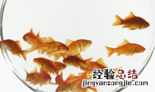 怎么判断当日天气是否适合钓鱼? 怎么判断当日天气是否适合钓鱼钓到鱼