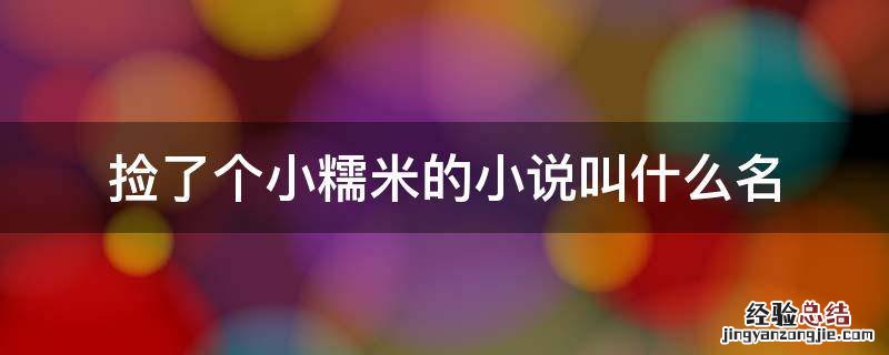 捡了一个小糯米 捡了个小糯米的小说叫什么名