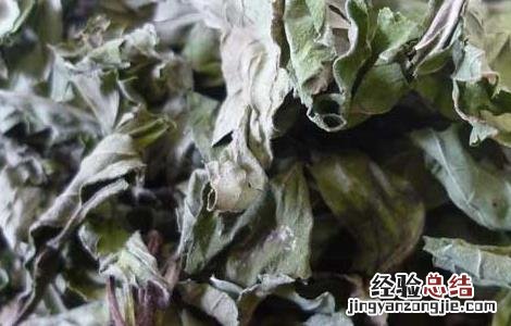 薄荷叶泡水喝可以减肥 干薄荷叶泡水喝能减肥吗