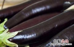 吃白水煮茄子可以减肥吗 水煮茄子可以减肥吗