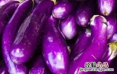 吃生茄子真能减肥吗 吃生茄子真能减肥吗