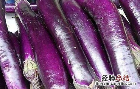 吃生茄子真能减肥吗 吃生茄子真能减肥吗