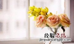 普希金励志诗介绍 普希金励志诗假如生活欺骗了你