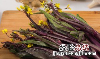 红菜苔利尿吗 红菜苔功效与禁忌