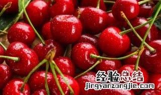 车厘子红色的好还是黑色的好 车厘子红色的好吃还是黑色的好吃