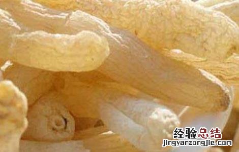 玫瑰陈皮麦冬和什么一起泡最好 麦冬和什么一起泡最好