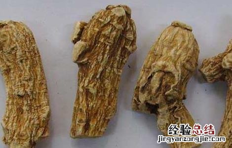 阿胶加西洋参适合什么人吃 西洋参适合什么人吃