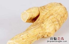 阿胶加西洋参适合什么人吃 西洋参适合什么人吃